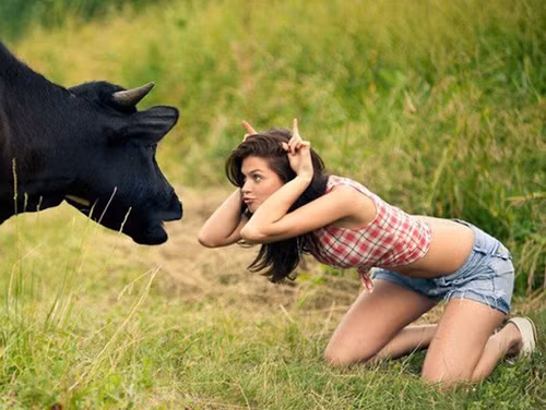 Ảnh "lầy lội" của những người có khiếu hài hước