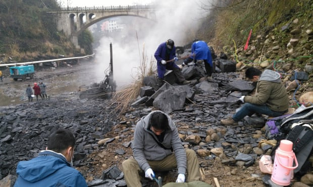 Các nhà cổ sinh vật học đang làm việc trên bờ sông Danshui, tỉnh Hồ Bắc, Trung Quốc Các nhà cổ sinh vật học đang làm việc trên bờ sông Danshui, tỉnh Hồ Bắc, Trung Quốc