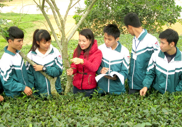 Ảnh minh họa Ảnh minh họa