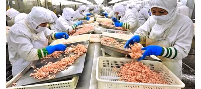 10 mon co the gay nguy hiem neu ban an khong dung cach - 2