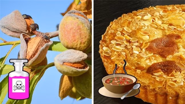 10 mon co the gay nguy hiem neu ban an khong dung cach - 4