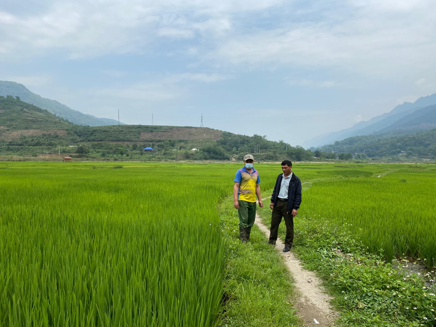 Ông Lò Văn Thân (áo vàng) cùng cán bộ xã đi thăm đồng Ông Lò Văn Thân (áo vàng) cùng cán bộ xã đi thăm đồng