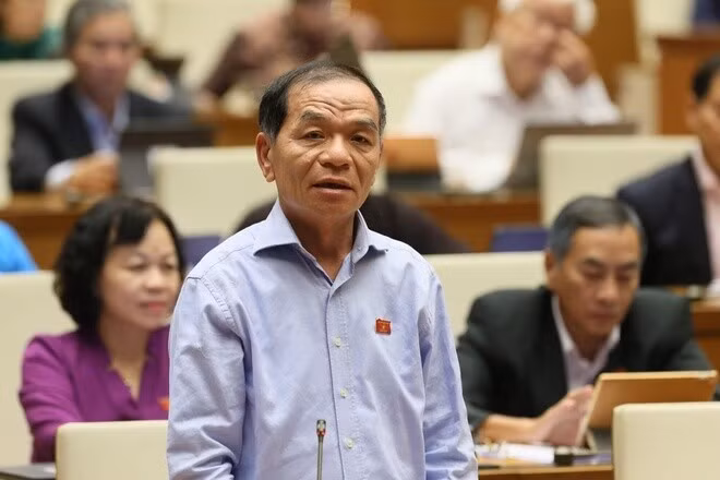 Đại biểu Lê Thanh Vân nêu ví dụ về vụ "bánh mì không phải thực phẩm thiết yếu".