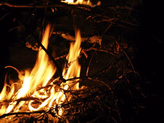 Mai táng bằng cách ăn thịt người chết ảnh 4