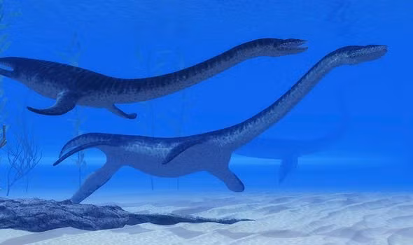 phat hien "quai vat" ho loch ness gan 8 met noi len mat nuoc hinh anh 2