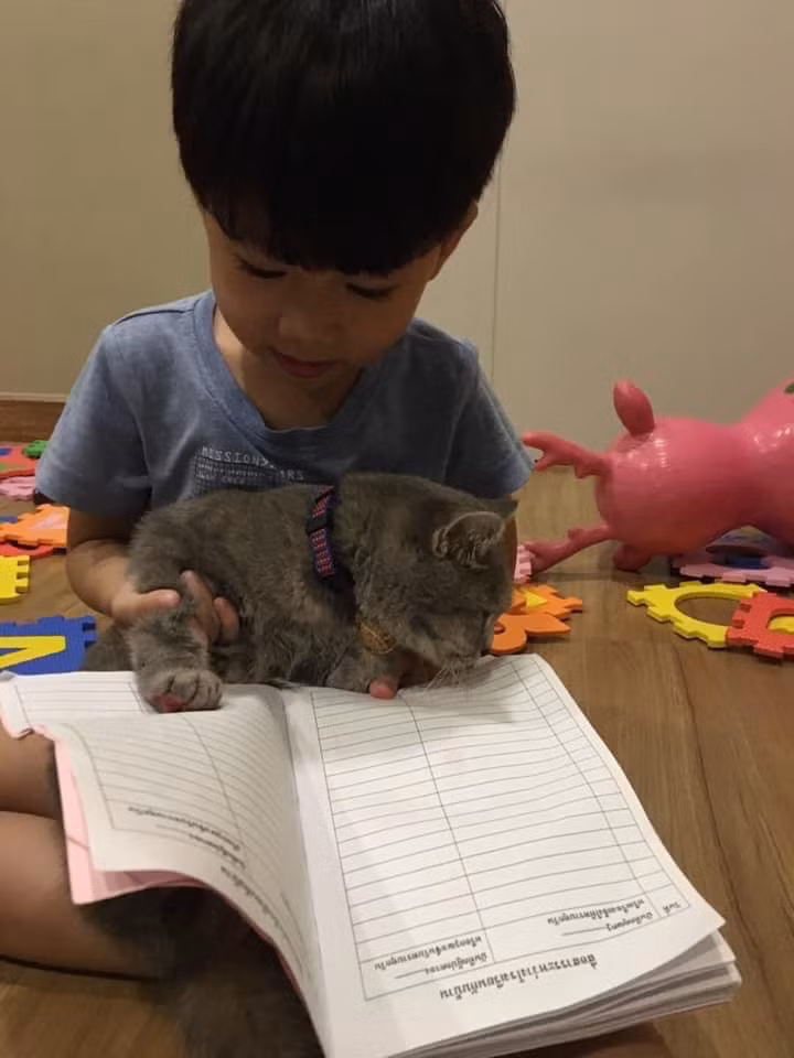 70930558_2385088715038291_3892362636540510208_n