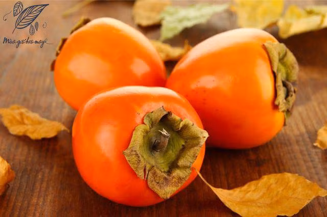 da day co 10 vien soi to nhu trung vi thuong xuyen an loai qua nhieu nguoi thich - 2