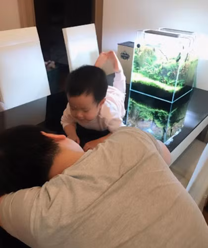 Người ta khuyên không để bể cá trongphòng ngủlà do tiếng máy lọc, tiếng nước chảy ồn có thể gây ức chế lúcngủ. Chứ em xài êm ru tốingủngon lành, thậm chí 2-3 bể cơ, công việc ổn định lại còn cưới được vợ hiền, Thanh Phong (Quận 10, TPHCM) chia sẻ.