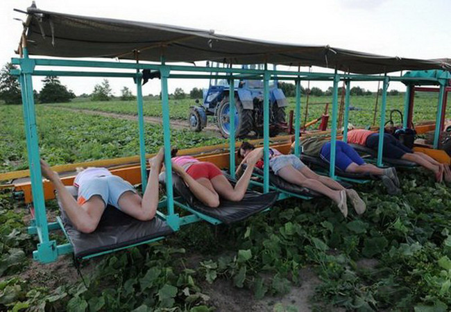 Lười biếng nhưng quan trọng vẫn là... thần thái hình ảnh 1 luoi bieng nhung quan trong van la... than thai hinh anh 1