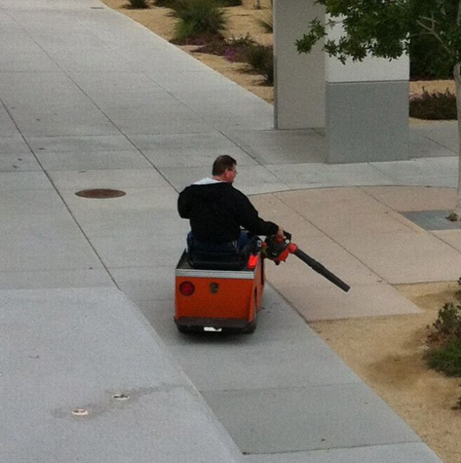 Lười biếng nhưng quan trọng vẫn là... thần thái hình ảnh 12 luoi bieng nhung quan trong van la... than thai hinh anh 12