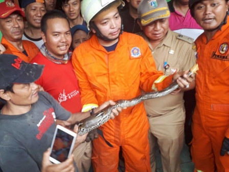 o tran 16 con “xam chiem” ong nuoc nha dan hinh anh 1