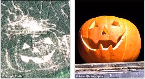 Google Maps phát hiện nhiều khuôn mặt khổng lồ giống hệt người thật - Hình 4