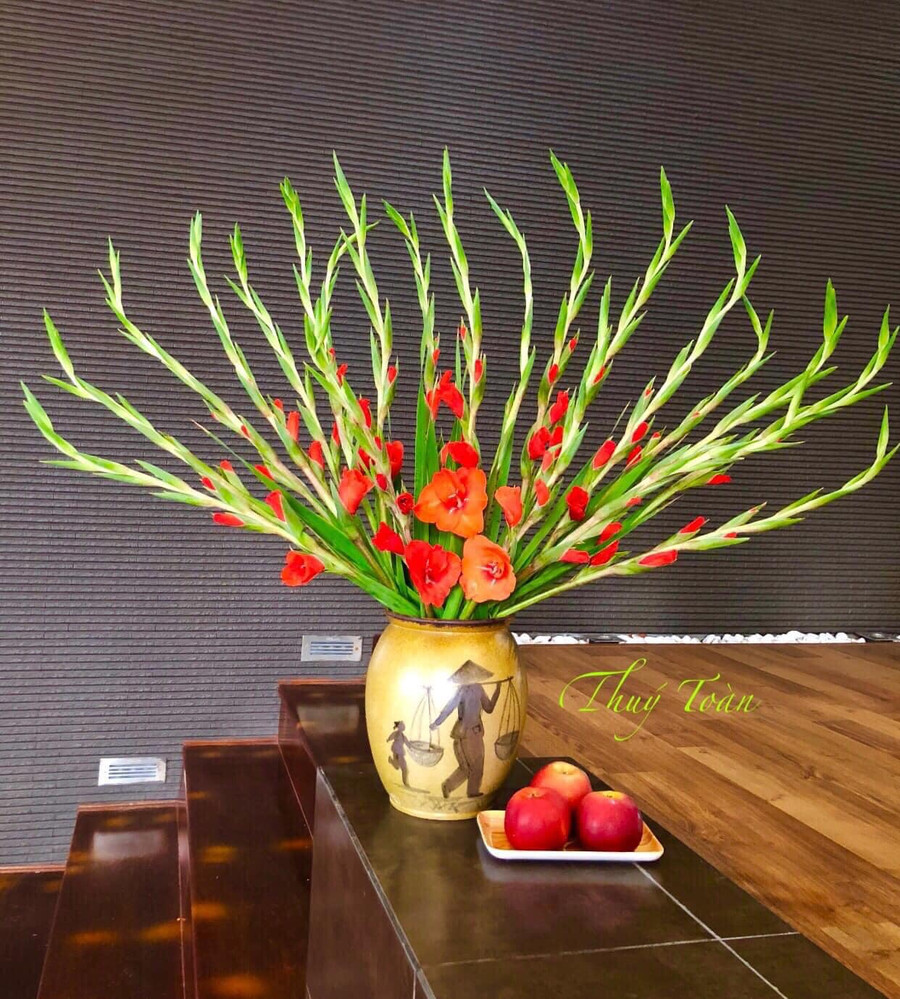 Mẹo giúp hoa lay ơn cong mềm mại, nở rộ đúng Tết