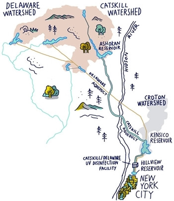 Nước sạch cho New York được cung cấp như thế nào? ảnh 2 Hệ thống cung cấp nước cho New York. Đồ họa: NYTimes.