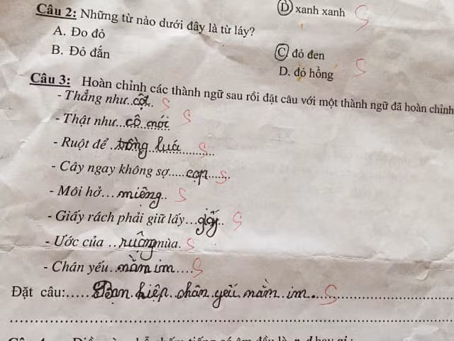Những đáp án chân thật khiến ai cũng cười 