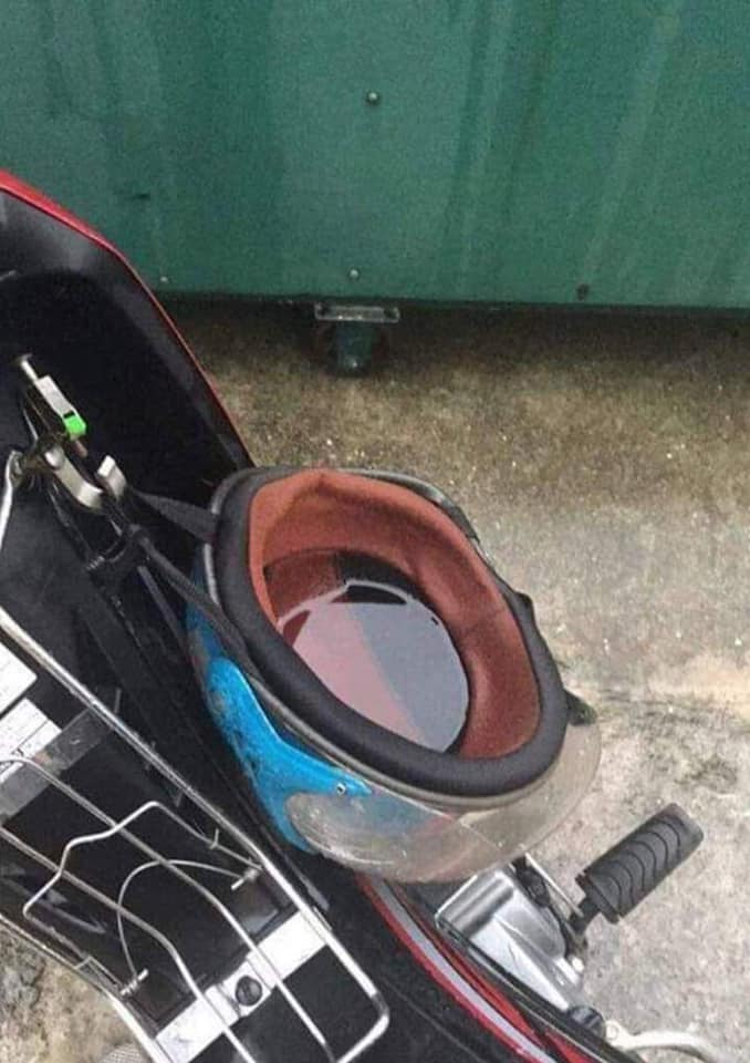 Những hình ảnh hài hước trong ngày ảnh 7