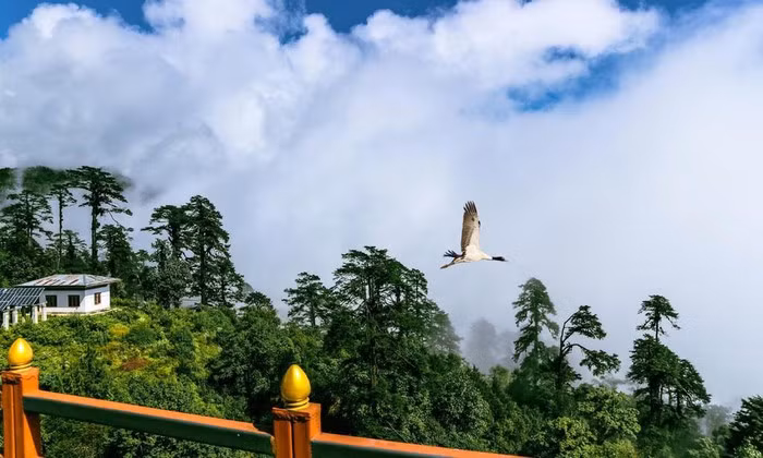 Mùa tuyết rơi tuyệt đẹp tại quốc gia hạnh phúc Bhutan ảnh 10