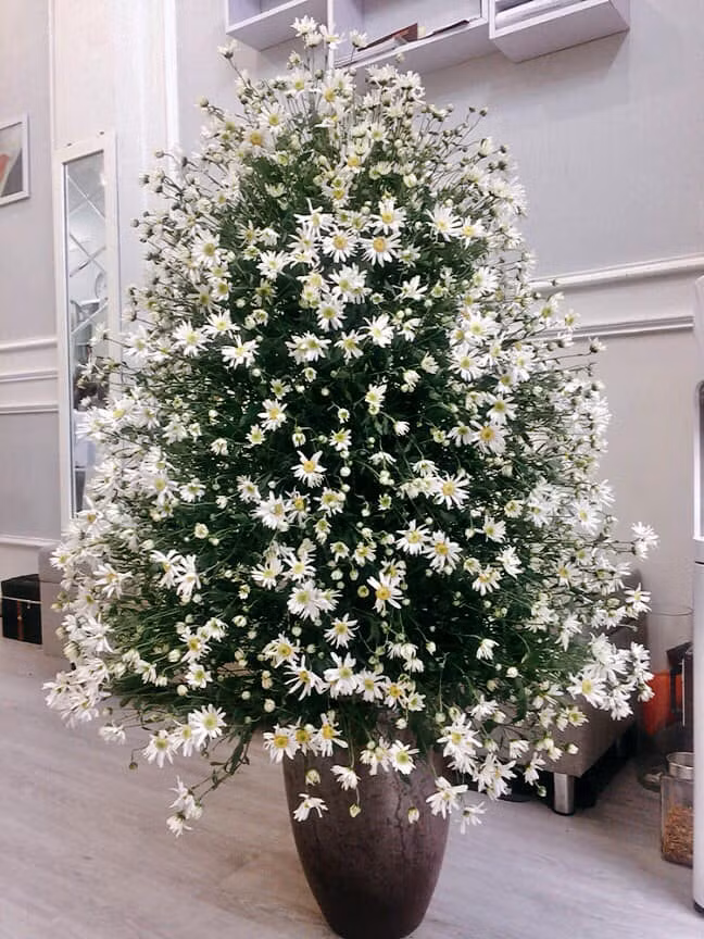 me man ngam du kieu cam cuc hoa mi dep tinh khoi cua cac chi em yeu hoa hinh anh 7