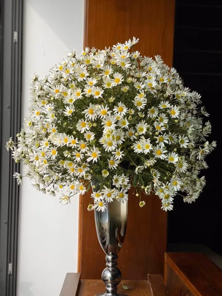 me man ngam du kieu cam cuc hoa mi dep tinh khoi cua cac chi em yeu hoa hinh anh 11