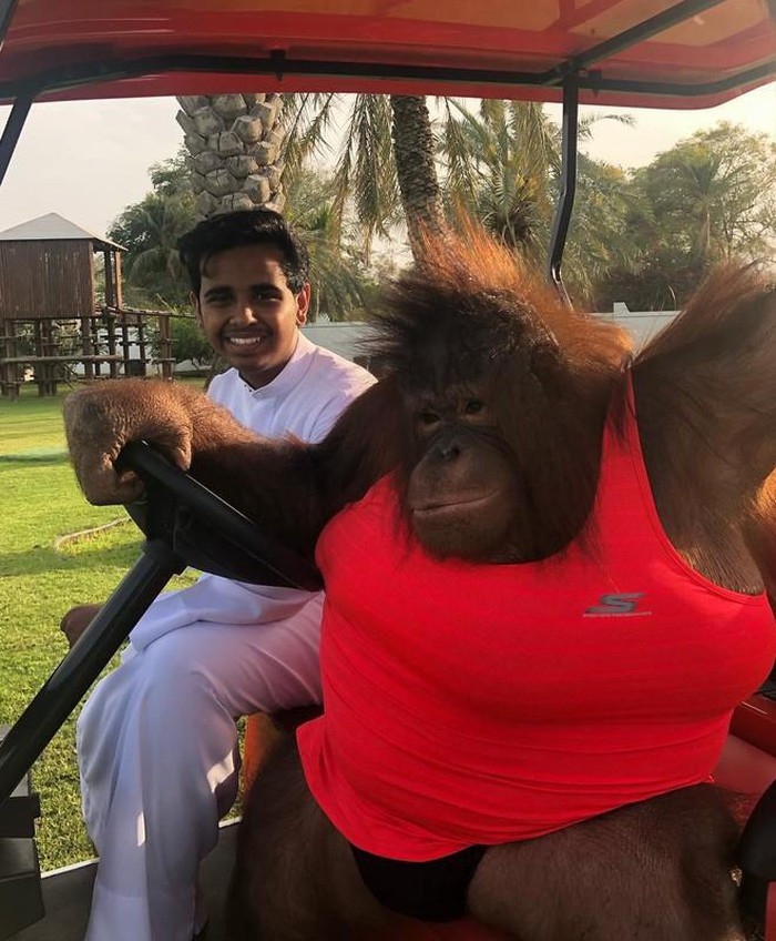 Choáng với cuộc sống sang chảnh của rich kid 10X Dubai ảnh 11 Choáng với cuộc sống sang chảnh của rich kid 10X Dubai ảnh 11