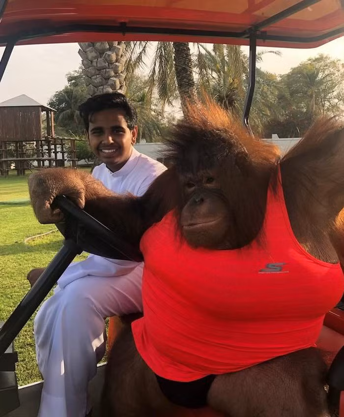 Choáng với cuộc sống sang chảnh của rich kid 10X Dubai ảnh 11 Choáng với cuộc sống sang chảnh của rich kid 10X Dubai ảnh 11