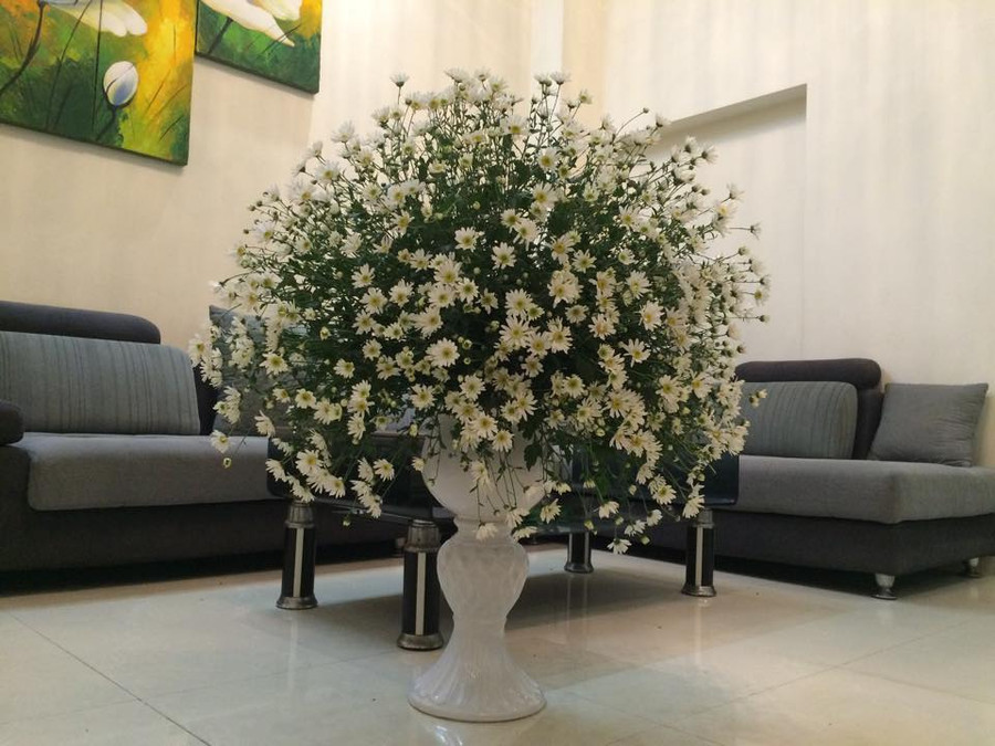 Mê mẩn ngắm đủ kiểu cắm cúc họa mi đẹp tinh khôi của các chị em yêu hoa hình ảnh 4 me man ngam du kieu cam cuc hoa mi dep tinh khoi cua cac chi em yeu hoa hinh anh 4