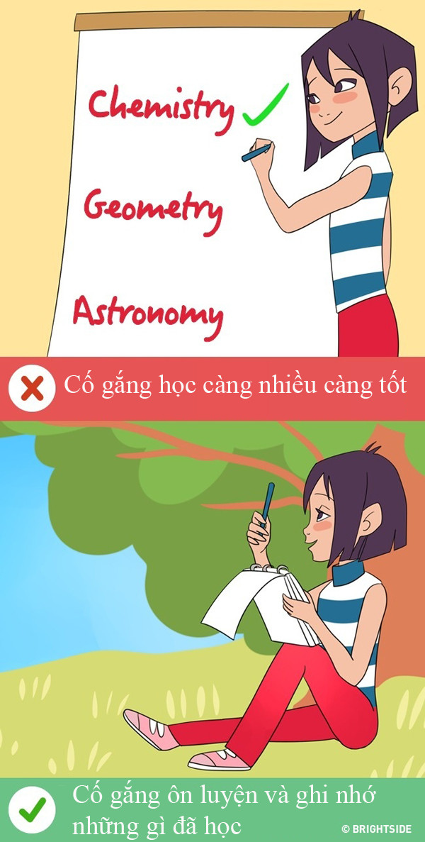 Những bí quyết giúp bạn thông minh như thiên tài ảnh 5 nhung-bi-quyet-khien-chung-ta-thong-minh-nhu-thien-tai-4