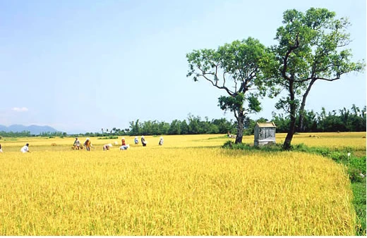 Trở về