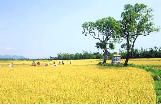 Trở về