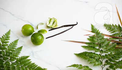 3 cách pha nước chanh ngon tuyệt đỉnh có thể bạn chưa biết ảnh 13