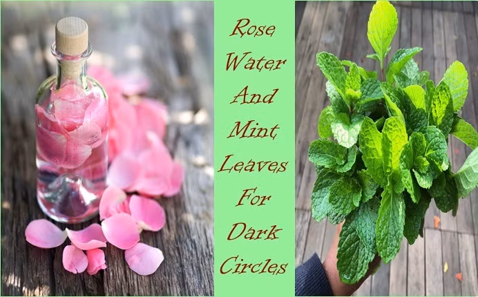 rose-water-and-mint-leaves-for-dark-circles