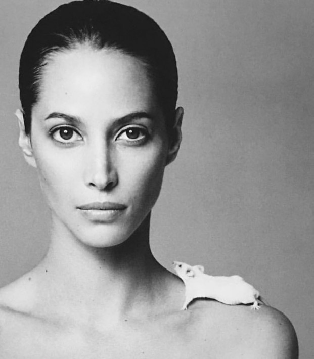 Christy Turlington