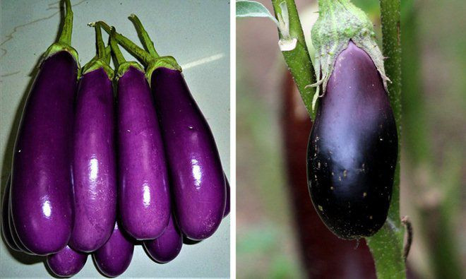 su that ve 11 loai thuc pham ma chung ta van hieu lam ban chat hang ngay - 7