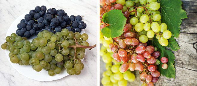 su that ve 11 loai thuc pham ma chung ta van hieu lam ban chat hang ngay - 3