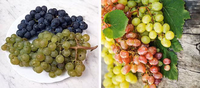 su that ve 11 loai thuc pham ma chung ta van hieu lam ban chat hang ngay - 3