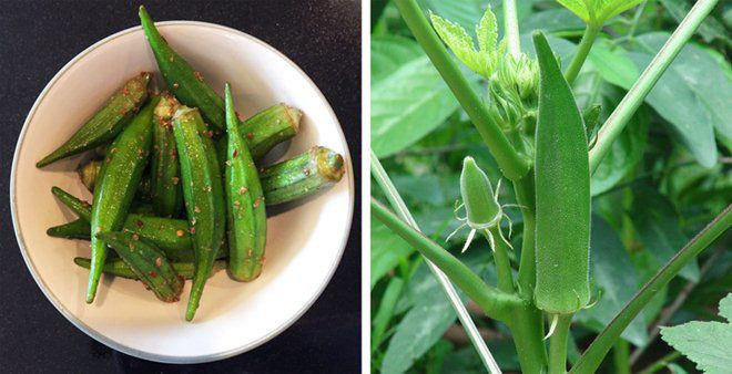 su that ve 11 loai thuc pham ma chung ta van hieu lam ban chat hang ngay - 11