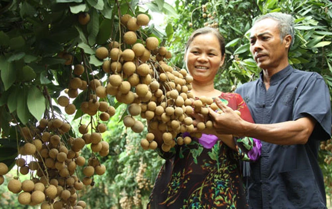 Đặc sản địa phương: Bao giờ xây dựng được thương hiệu?