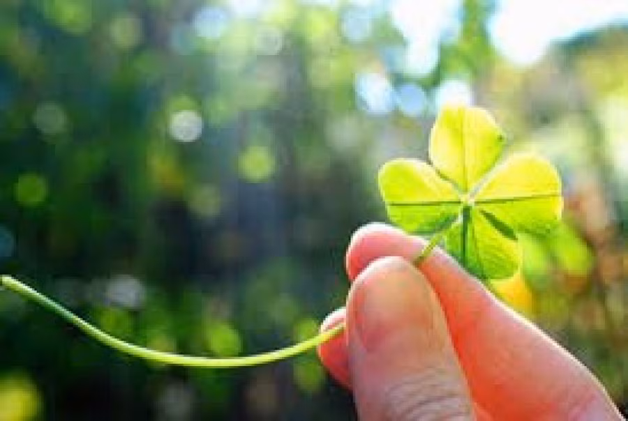 3 con giáp may mắn tài lộc vững mạnh trong ngày 1/5