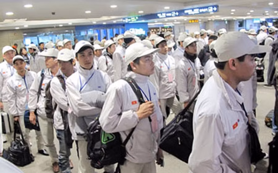 Lao động có tổ chức mới được xuất khẩu