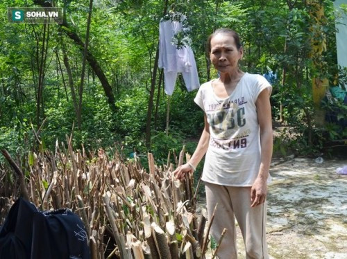 Giải mã người đàn bà hơn 30 năm không ngủ, chồng sợ hãi trốn đi biệt xứ - Ảnh 2 Giải mã người đàn bà hơn 30 năm không ngủ, chồng sợ hãi trốn đi biệt xứ - Ảnh 2