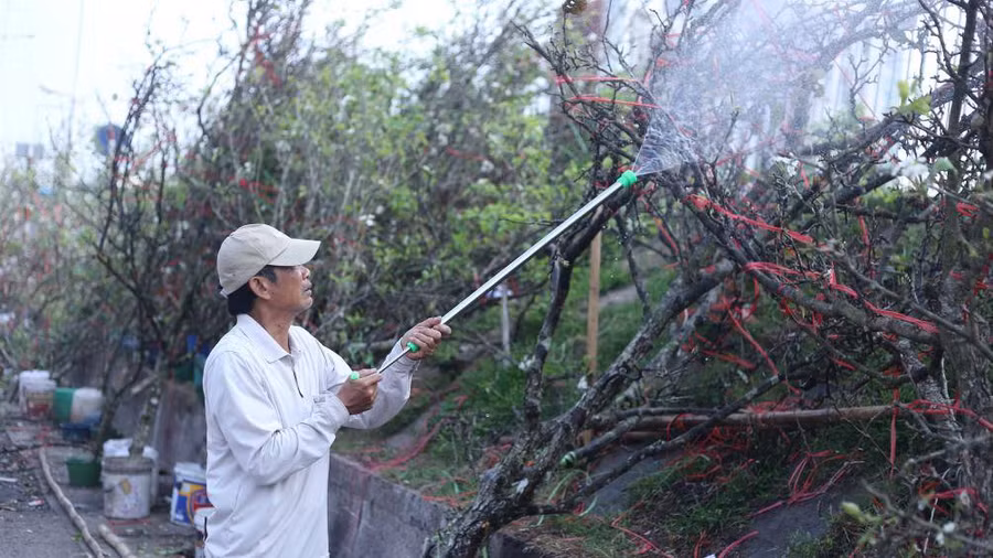 Keyword đầu tiên có dấu