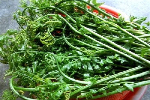 Cách làm thịt trâu xào rau dớn – món yêu thích của Hà Đức Chinh - Hình 2 Cach lam thit trau xao rau don – mon yeu thich cua Ha Duc Chinh-Hinh-2