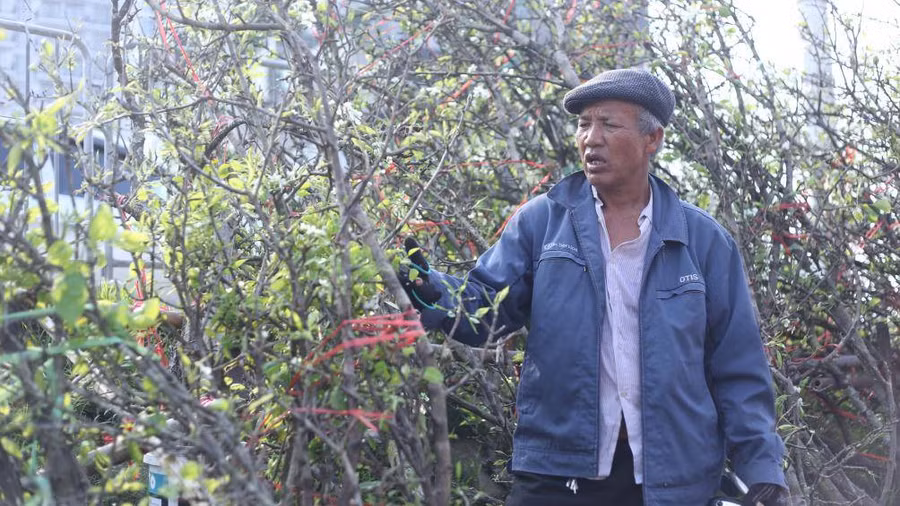 Keyword đầu tiên có dấu