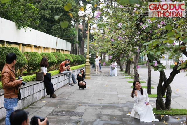 Những đoạn đường Bắc Sơn - Hoàng Diệu, Nguyễn Du - Trương Hán Siêu, Điện Biên Phủ, Thanh Niên, Trần Duy Hưng, Trần Phú... là nơi có nhiều hoa ban nở.