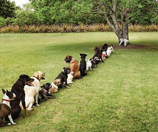 Sống là phải có nguyên tắc Sống là phải có nguyên tắc