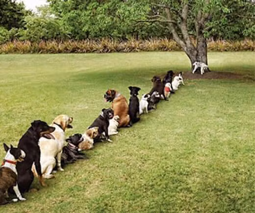 Sống là phải có nguyên tắc Sống là phải có nguyên tắc