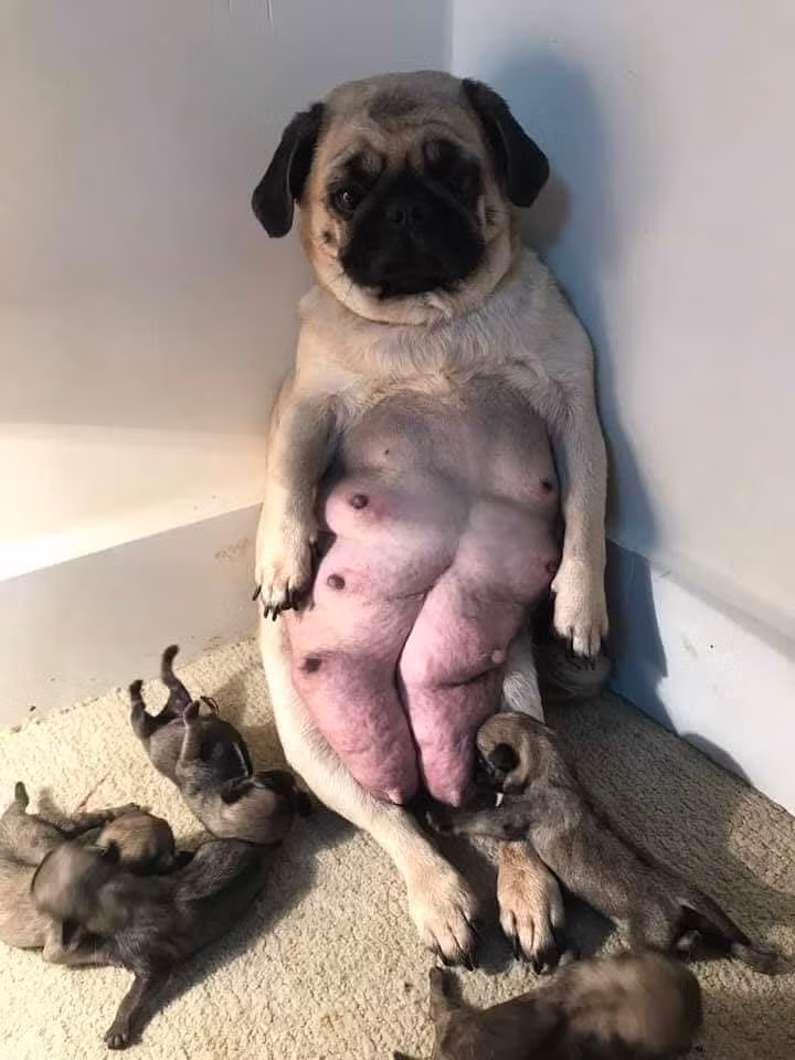 Vượt kế hoạch Vượt kế hoạch