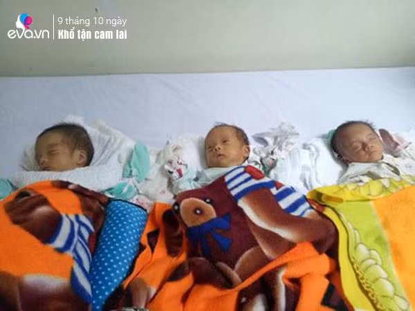 dang mang bau doi, me ha noi "dung tim" khi sieu am 12 tuan co 3 thai trong bung - 1