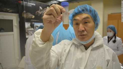 Phần nước tiểu được phát hiện bên trong xác ngựa con 42.000 năm tuổi. Phần nước tiểu được phát hiện bên trong xác ngựa con 42.000 năm tuổi.