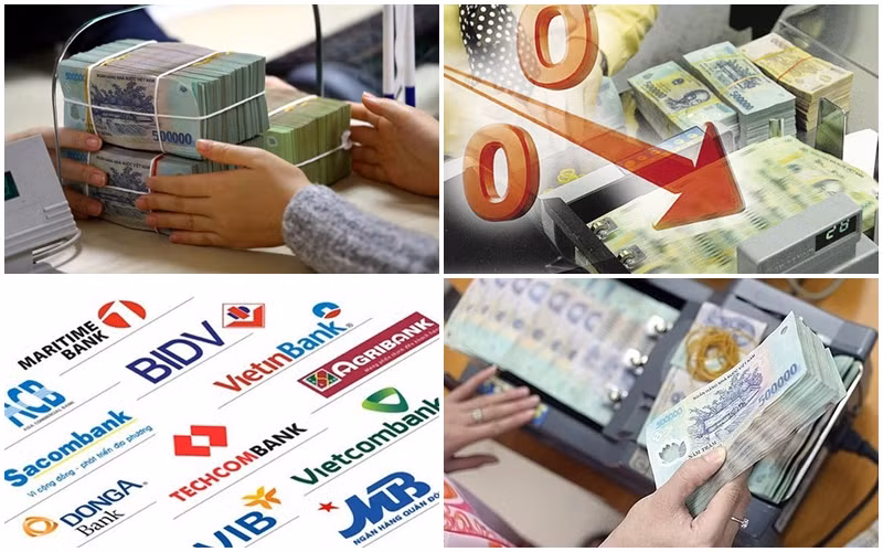 Làn sóng hạ lãi suất, cùng doanh nghiệp vượt đại dịch